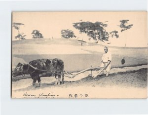 Postcard Cattle farmer