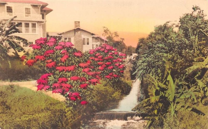St Petersburg Florida Roser Park Barnhill Hand Colored Postcard AA73172