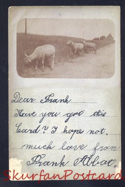 RPPC POTSDAM GERMANY 1898 SHEEP FARMING VINTAGE REAL PHOTO POSTCARD