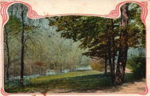 Vintage Postcard Forest Scenic View Recreational Area Picnic Public Park