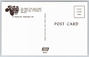 Roadside~Kapok Tree Inn Clearwater Florida~Vintage Postcard