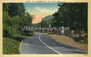 US Highway - Bat Cave, North Carolina NC Postcard