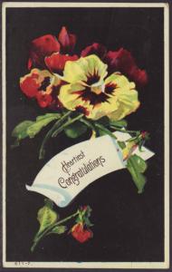 Hearty Congratulations,Pansies Postcard