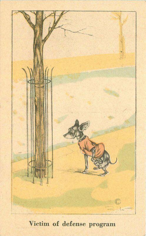 Artist impression Comic Humor Dog Pee defense program 1920s Postcard 2833
