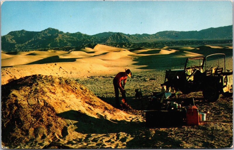 Desert Camping Death Valley California Vintage Postcard C214