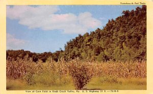 View at Corn Field in Knob Creek Valley US Highway 31 E Knob Creek Kentucky  