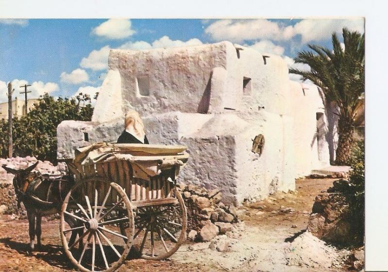 Postal 024889 : Construccion y vehiculos tipicos. Ibiza (Baleares)