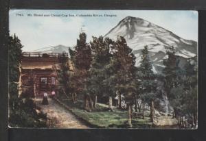 Mt Hood,Cloud Cap Inn,Columbia River,OR Postcard 