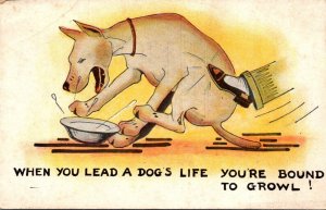 Humour When You Lead A Dog's Life