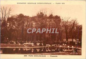 Postcard Old Paris International Exposition Coloniale Zoo Flamingos