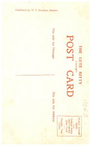 Cat, the three Rogues