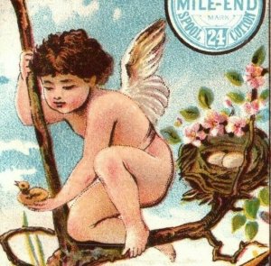 1881 Pocket Calendar Clark's Mile End Spool Cotton Cherubs Baby Bird Eggs P199