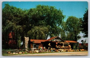 Fennville Michigan~Willow Bend Farm~Antiques & Pottery~Freeman Studios Postcard