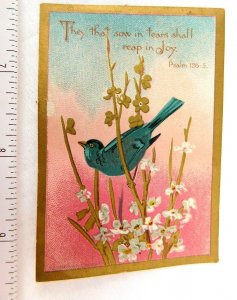 Superb They That Sow in Teams Shall Reap in Joy Bird Flowers Psalm 126 Bible F50
