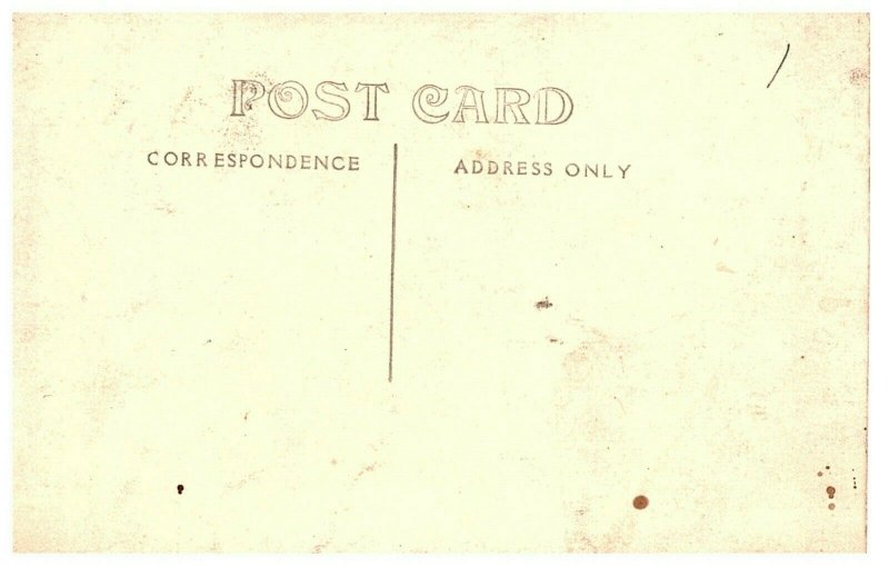 RPPC Postcard Trees Rocks Nature Scene Unknown Location