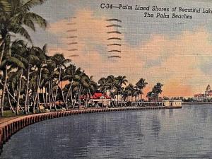 Postcard Palm Lined Shores of Lake Worh, FL   X5