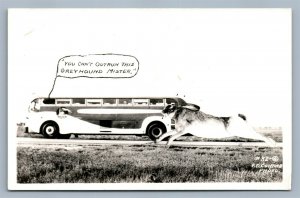EXAGGERATED JACKRABBIT w/ GREYHOUND BUS VINTAGE REAL PHOTO POSTCARD RPPC