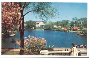 Cleveland Museum of Art, Ohio, unused Postcard