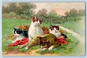 Lake View Idaho ID Postcard Cute Cat Kittens Scene Filed Embossed 1911 Antique