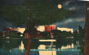 Vintage Postcard 1944 Favorite Spot Moonlight On Mirror Lake St. Petersburg Fla.