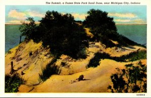 Indiana Michigan City Dunes State Park The Summit Sand Dune Curteich