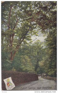 Esholt Springs, Near BRADFORD (Yorkshire), England, UK, 1900-1910s