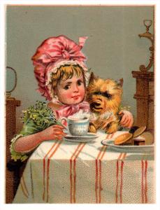 Royal Java Coffee , Dogs and cat ,  3 Trade Cards