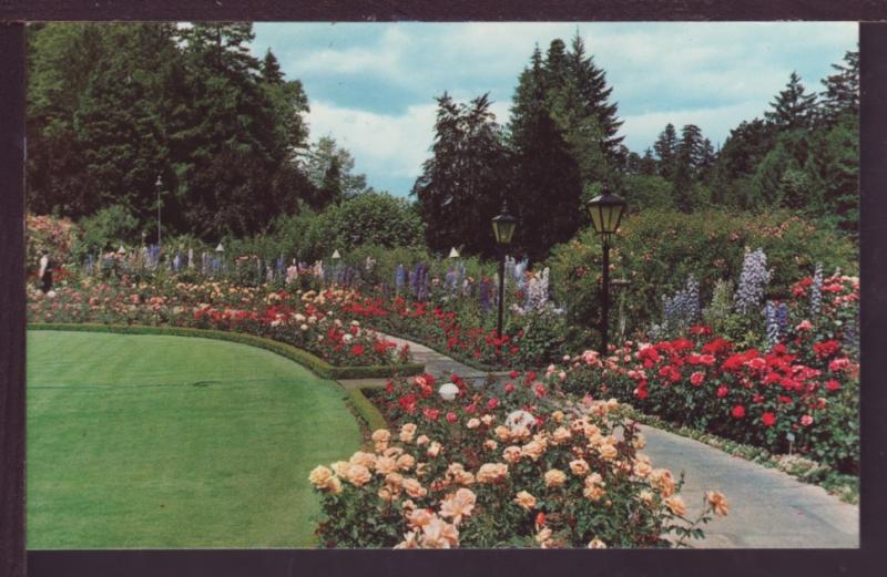 Rose Garden Buchart Gardens Victoria BC Post Card 3845