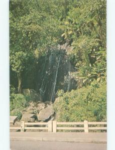 Unused Pre-1980 WATERFALL El Yunque Forest - Near San Juan Puerto Rico PR E4319