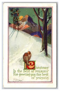 Mountain Forest Sunset Christmas Best of Seasons DB Postcard P23