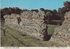 Roman Wall Verulamium Herts Hertfordshire Womens Institute Postcard