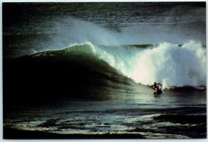 M-17639 Surf Board Riding on the Gold Coast Australia