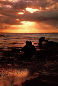 VINTAGE CONTINENTAL SIZE POSTCARD THE BEACH AT SUNSET AUSTRALIA