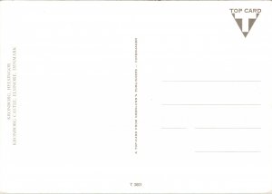 Postcard Denmark Kronborg aerial