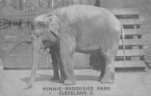 J75/ Cleveland Ohio Postcard c1910 Minnie Elephant Brookside Park 388