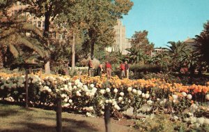 Postcard The Gardens At The Alamo San Antonio Texas TX Weiner News Agency Pub.