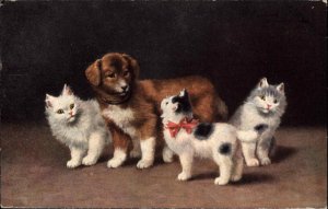Cat Kittens Dog Puppy c1900s-20s Postcard