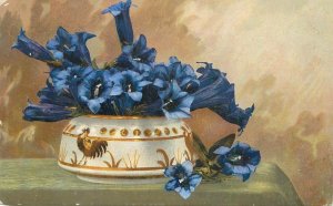 B580 Alpine wildflowers Gentians deep blue color nature still life Germany 1921