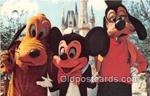 Mickey Mouse, Pluto, & Goofy Walt Disney World, FL, USA Unused punched hole i...