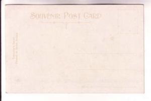 Pelargonium,, Geraniums, Flower Series Gold Background