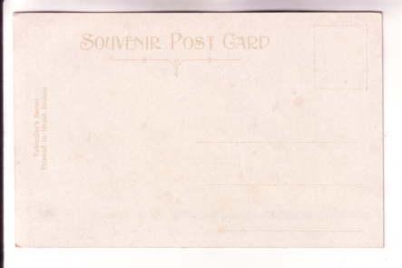 Pelargonium,, Geraniums, Flower Series Gold Background