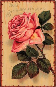 1912 Embossed Gel Stemmed Pink Rose Thorn Border Postcard 10c1-555