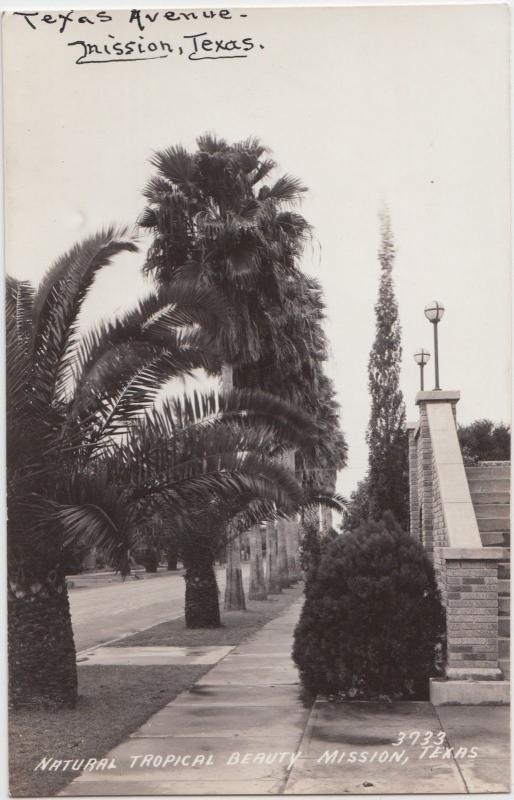 Texas Tx Postcard  c30-40s MISSION Natural Tropical Beauty Stairs Palms 