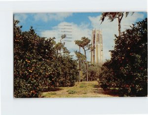 Postcard The Singing Tower near Lake Wales Florida USA