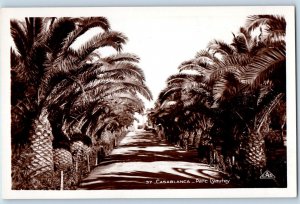 Casablanca Morocco Postcard Parc Lyautey Trees View on Walkway c1930s RPPC Photo