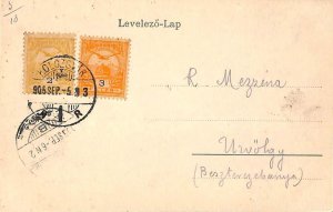 ac1789 - HUNGARY - POSTAL HISTORY - VINTAGE POSTCARD -1905-