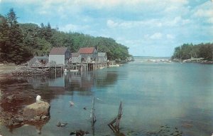 NEW HARBOR~BRISTOL, ME Maine BACK COVE Boat Houses~Woman On Rock Chrome Postcard