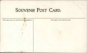 Truro Nova Scotia NS Prince Street c1910 Vintage Postcard