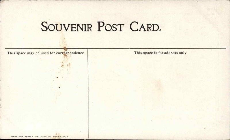 Truro Nova Scotia NS Prince Street c1910 Vintage Postcard