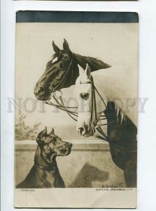 3132423 HORSES & GREAT DANE by SPERLING Vintage PC